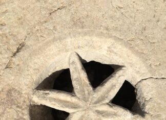 Çinili Köşk ve Fatih Köşkü