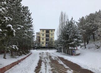 Anıtsal Çeşme ve Septimius Severus Ailesi