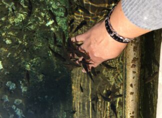 Tur Sonu ve Şoförün Yoğun Programı