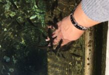 Tur Rehberliği ve Şoför Deneyimleri